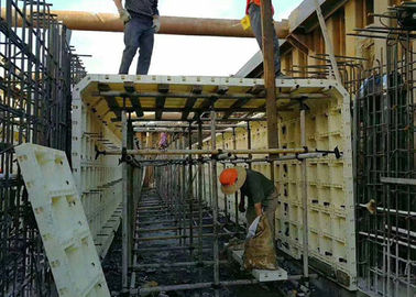 Çin Beton Duvar İçin Yeniden Kullanılabilir Modüler Plastik Kalıp 150 * 40 * 8cm Uzun Servis Ömrü Tedarikçi